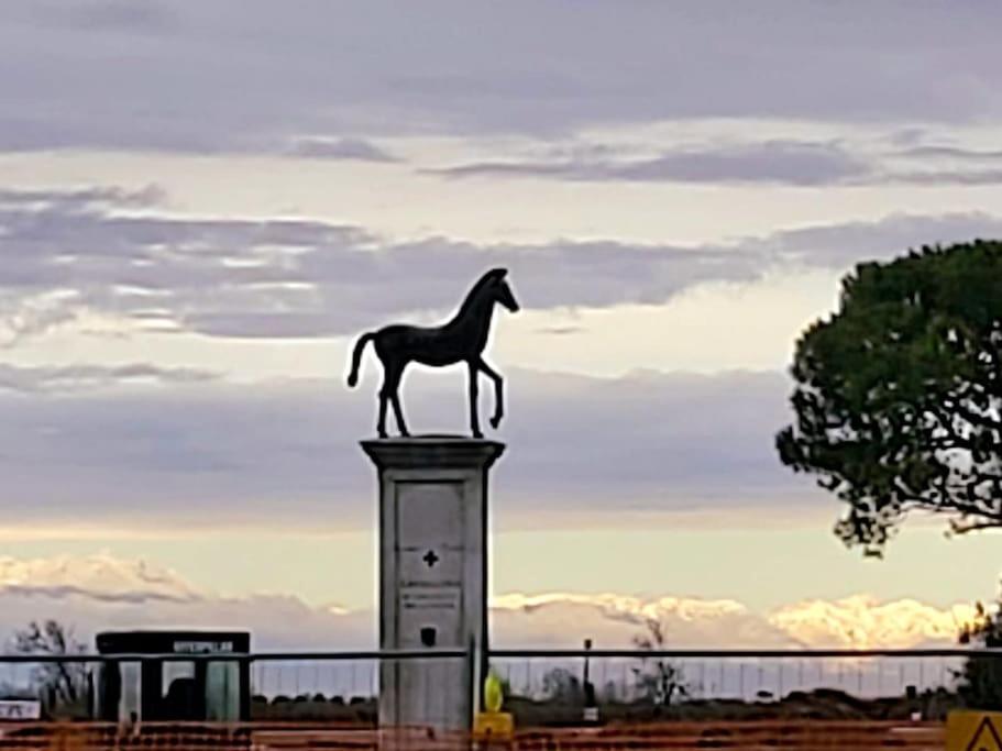 Appartamento Con Vista A Cavallino Venezia Bagian luar foto