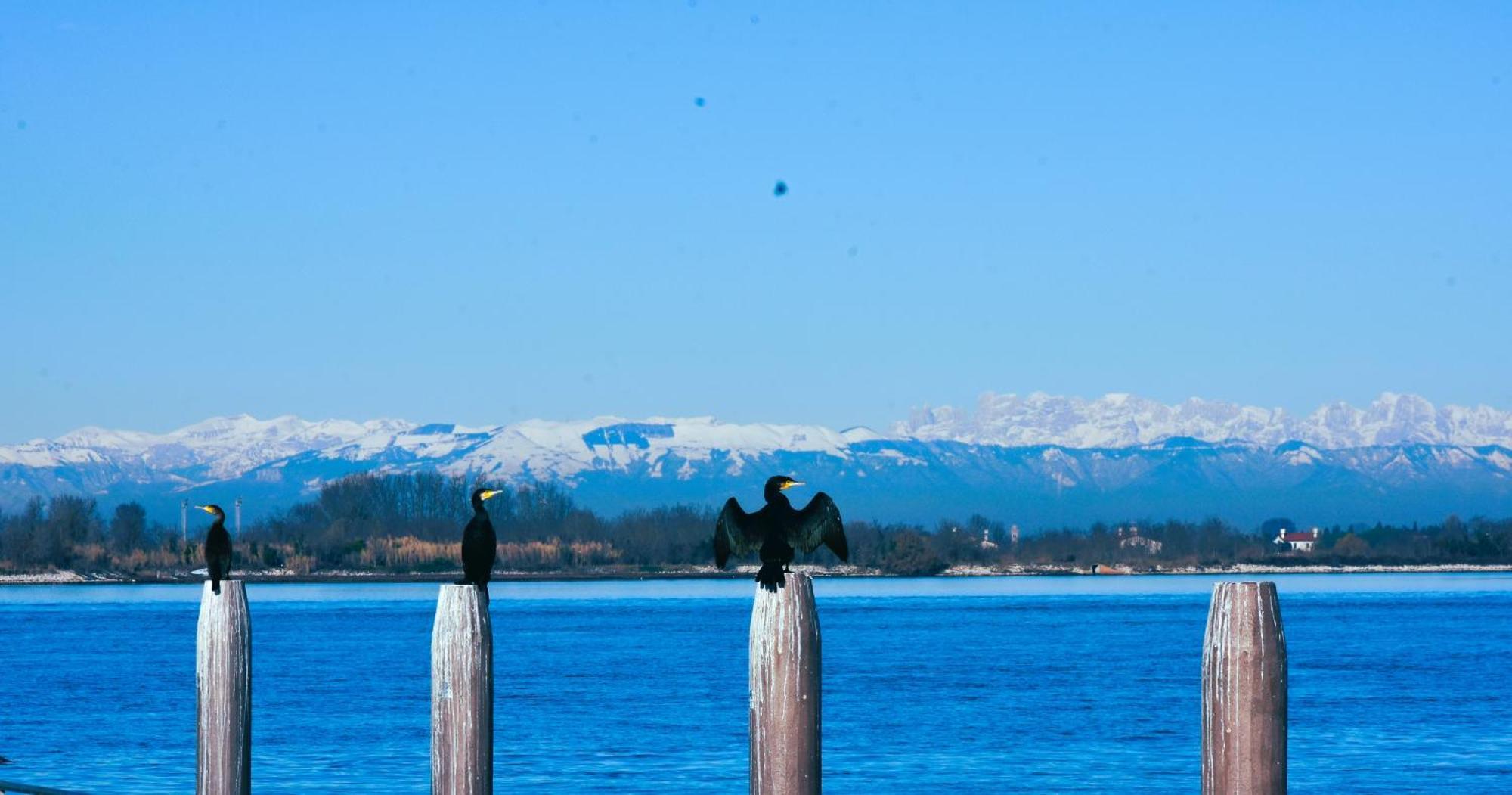 Appartamento Con Vista A Cavallino Venezia Bagian luar foto